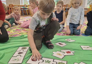 Zdjęcie 30 na 41