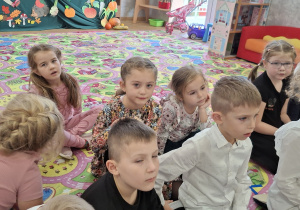 Zdjęcie 12 na 23