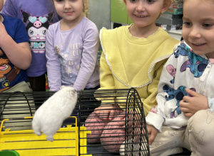 Nasi domowi ulubieńcy