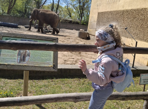 Wycieczka do Płocka dzieci 5 i 6-letnich
